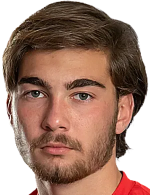 Gizo Mamageishvili photo 