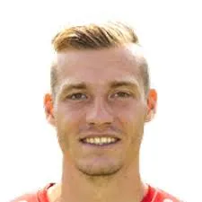 Dominik Widemann logo