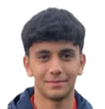 Ayman Arguigue Safsafi logo