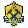 Ekwendeni Hammers