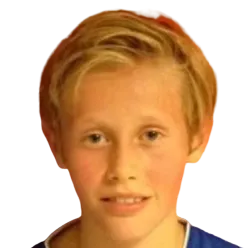 Valdimar Daði Sævarsson logo