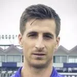 Fernando Llorente logo