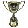 Asian Cup runner-up logo