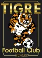 Tigre HFC Vasad Women logo