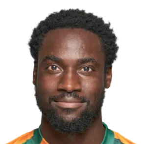 Nii Noye Kodjo Samuel Nyarko Narh logo