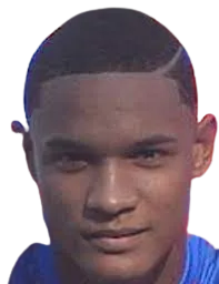 José David Mercado Bojato logo