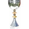 ASB Charity cup winner logo