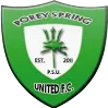 Porey Springs logo