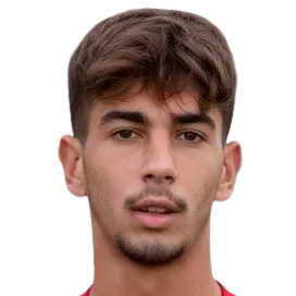 Matteo Luppichini logo