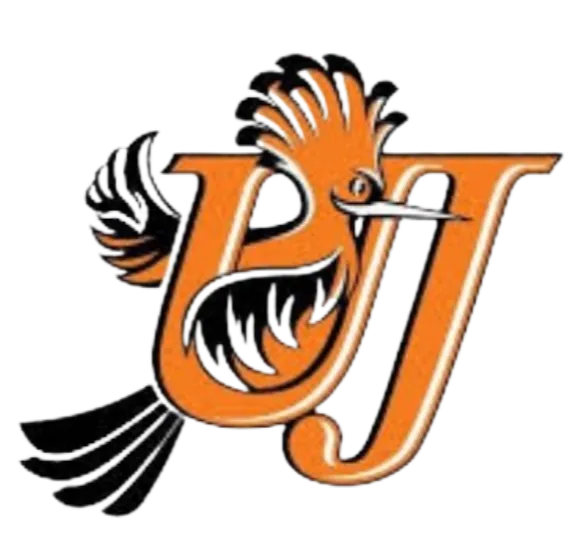 University of Johannesburg FC logo