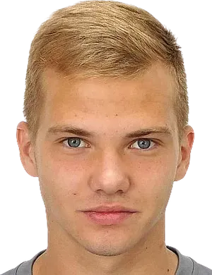 Denis·Perfilov logo