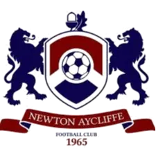 Newton Aycliffe logo