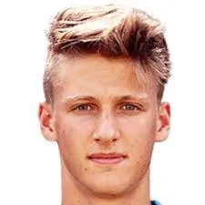 Niccolò Vivoli logo