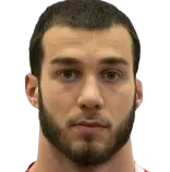 Lazar Stojsavljevic logo