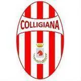 Colligiana logo