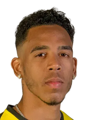 Pedro Vitor Ferreira da Silva photo 