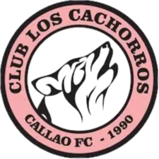 Los Cachorros FC logo