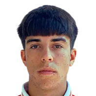 Strahinja stojkovic logo