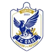 Guangzhou Yinghuasili U15 logo