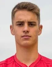 Daniel Veszelinov logo