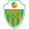 Team logo