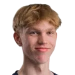 Julius Paananen photo