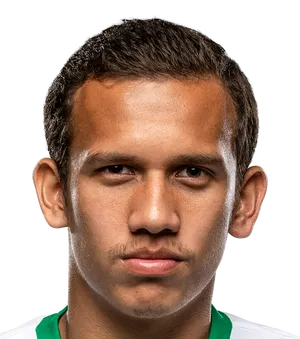 Egy Maulana Vikri logo