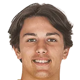 nikola jovicevic logo