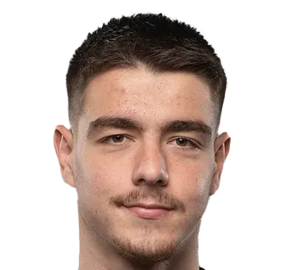 Muhamed Šahinović logo