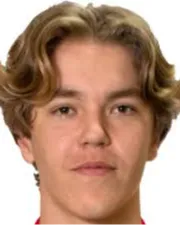 hannes davidsson logo