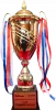 Vietnamese Super cup winner logo