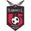 TS Galaxy logo