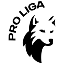 Uzbekistan Pro League photo 