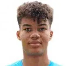 Jermain Nischalke logo