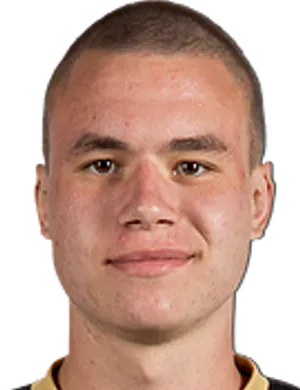 Aleksandr Gapechkin logo