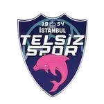 Telsizspor Women logo