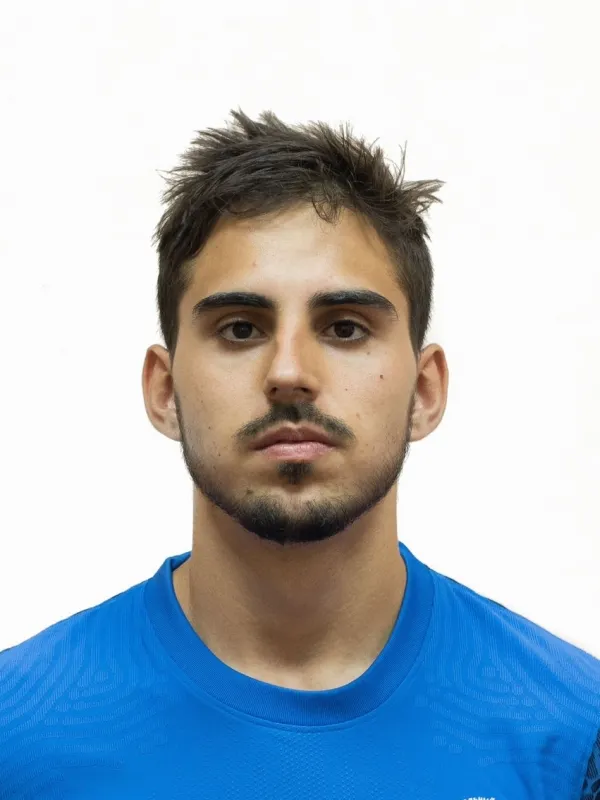 Robinson zvonkov logo