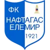 Naftagas logo