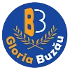 Gloria Buzau U19 logo
