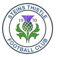 Steins Thistle FC logo