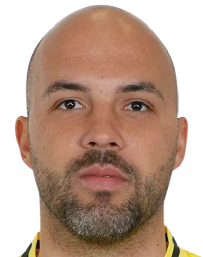 Nikolay Mihaylov logo