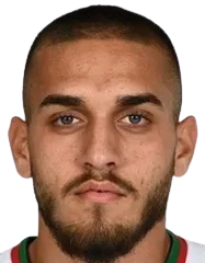 Roberto Iliev Raychev logo