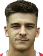 Dan Emilian Neicu logo