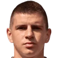 D. Petronijević logo