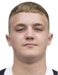 Niko Johann Lieber logo