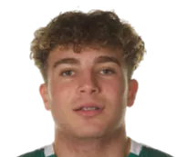 Najemedine·Razi logo