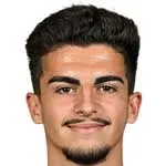 Igor Miladinović logo