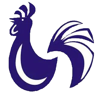 Club Gallos Viejos logo