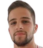 Stefan golubovic logo