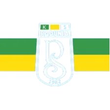 Radunia Stezyca II logo